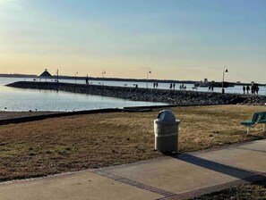 Beach - Motel at Kentucky Lake. Natures Habitat. (Gilbertsville)