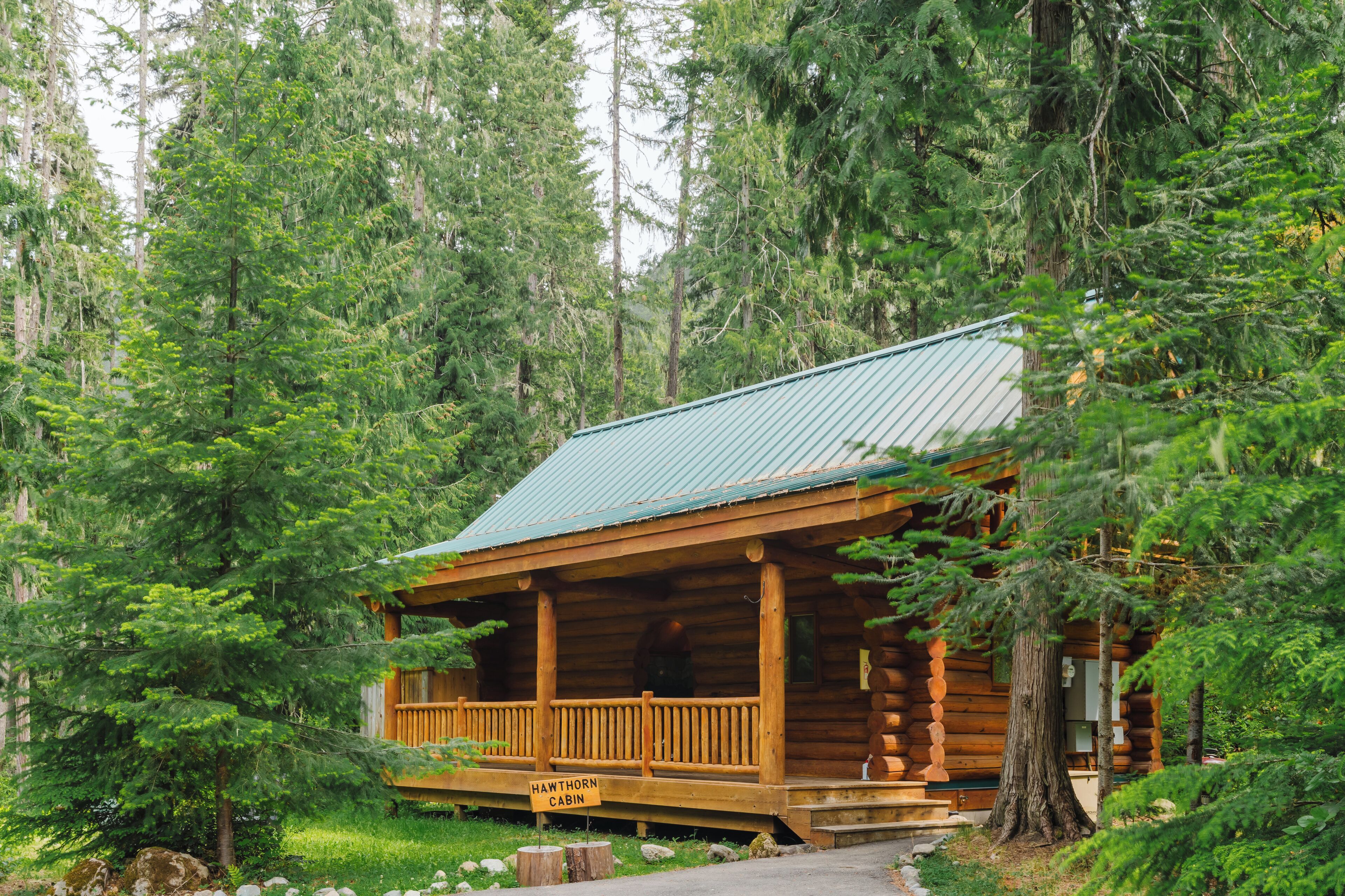 A log cabin with a porch, surrounded by dense forest.