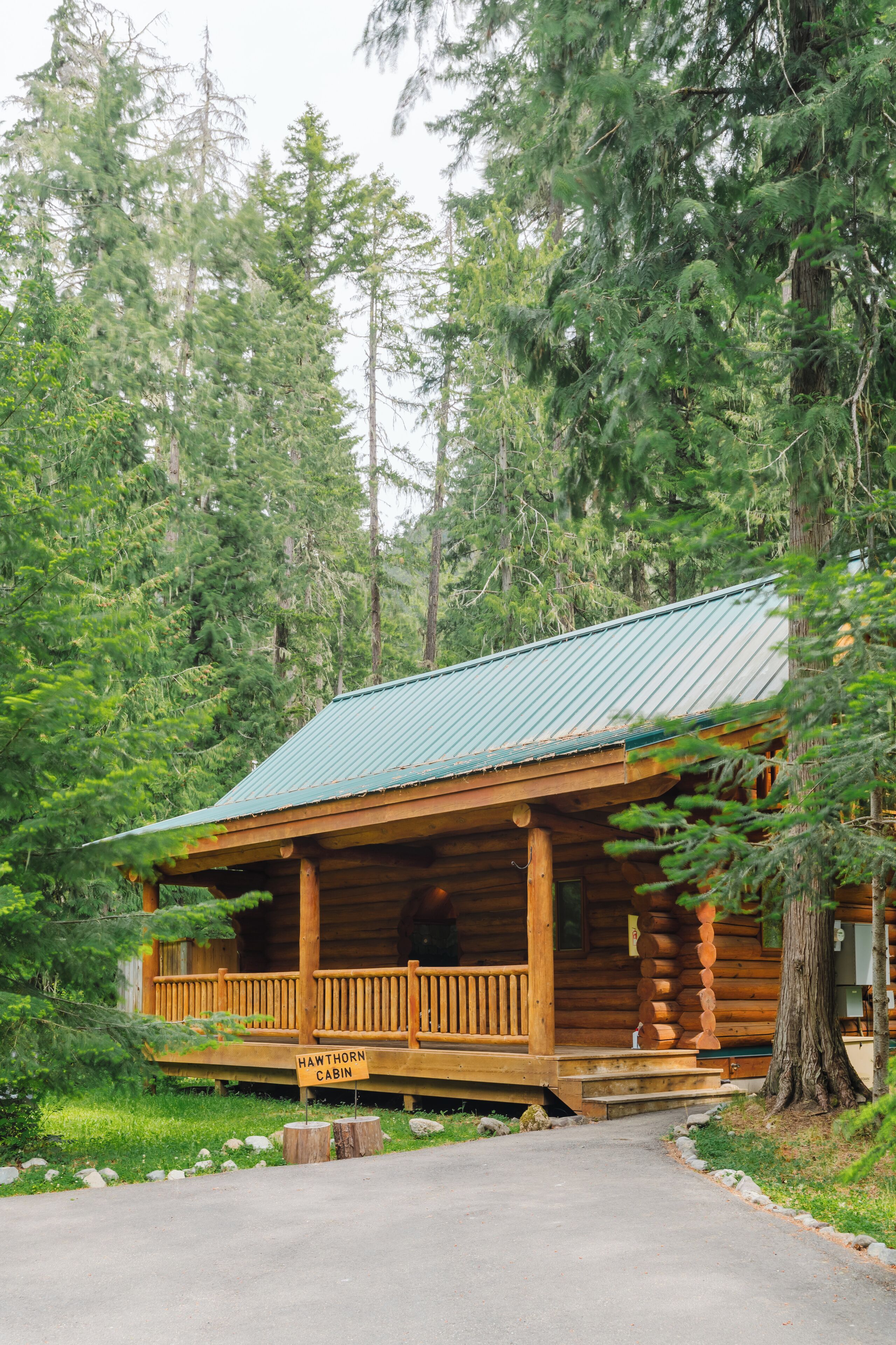 Una cabaña de troncos con techo de metal verde, rodeada de un denso bosque.