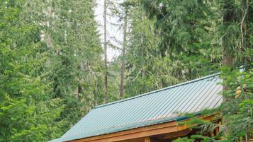 Una cabaña de troncos con techo de metal verde, rodeada de un denso bosque.