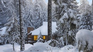 Eine Hütte, umgeben von schneebedeckten Bäumen.