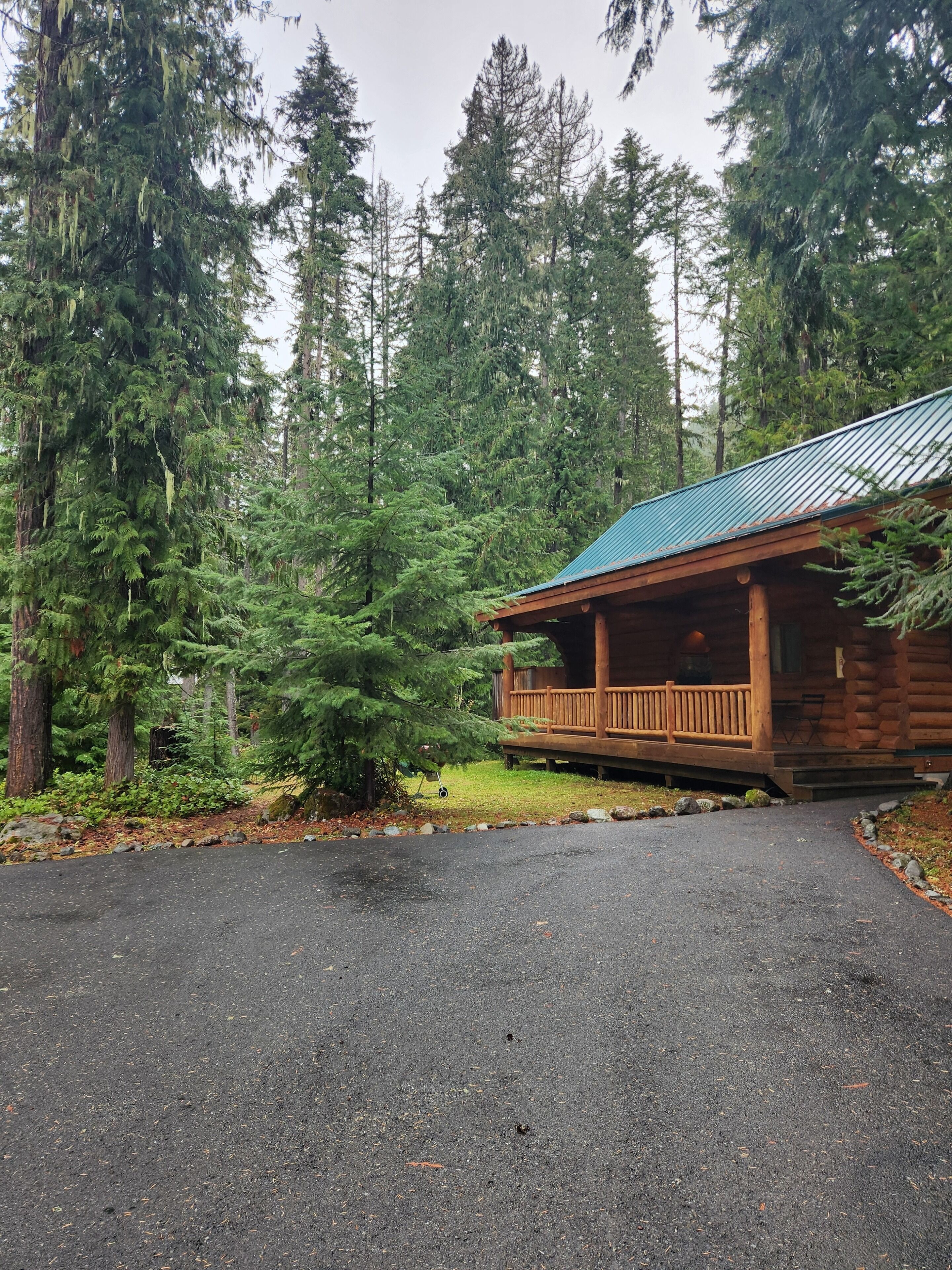 A log cabin with a porch, surrounded by dense forest.