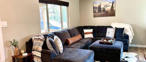 Smart TV, DVD player, books