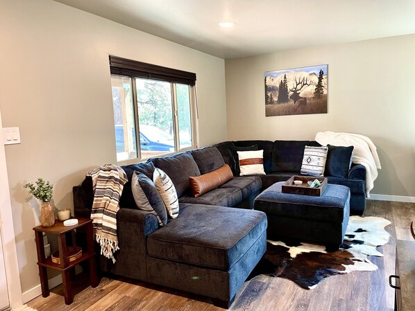 智能電視、DVD 播放機、書籍