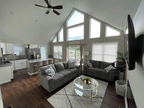 Smart TV, fireplace, books