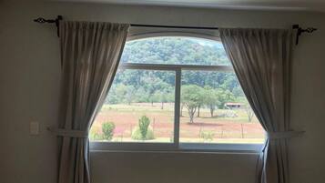 Studio Suite | Terrace/patio