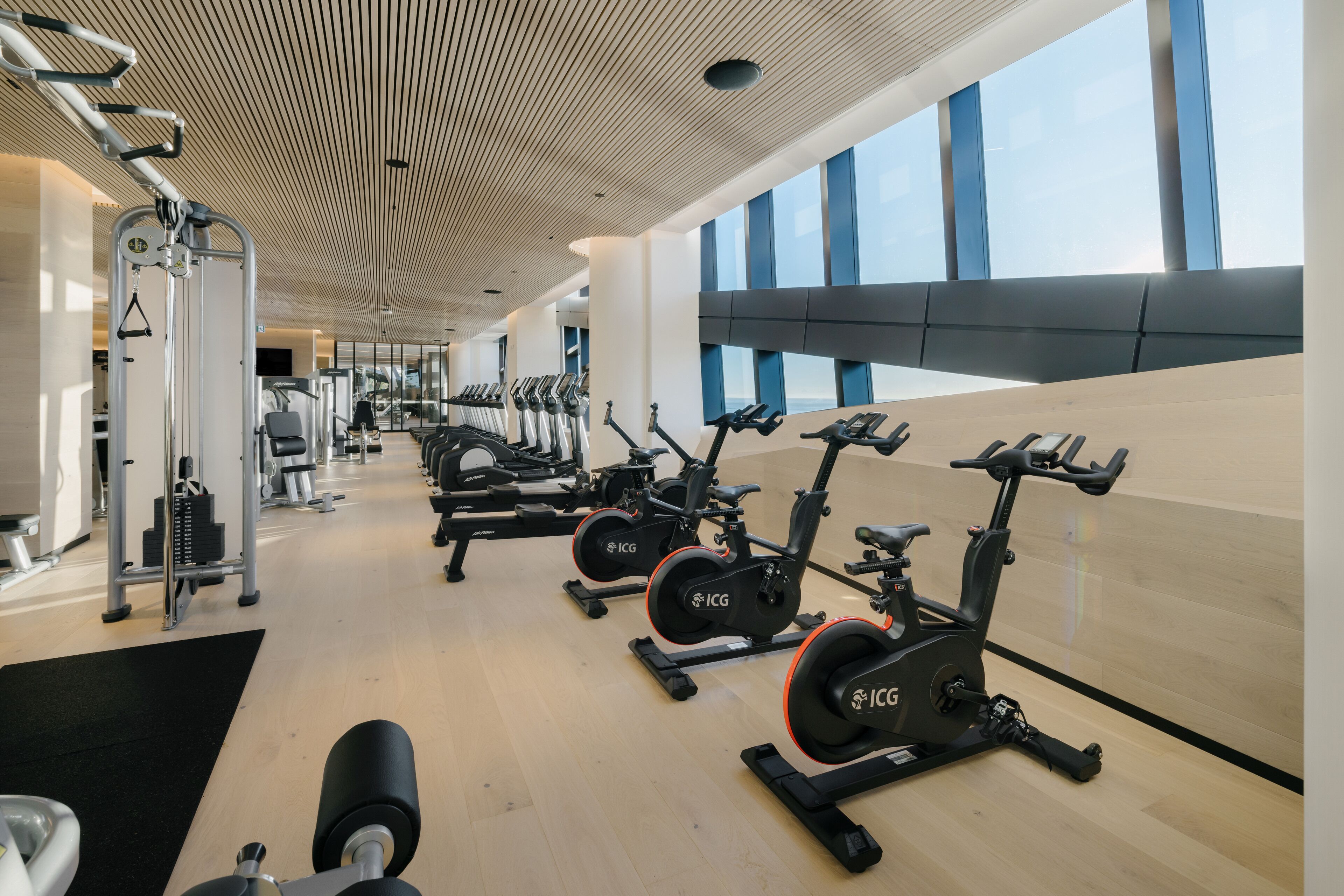 A modern gym with cardio machines, weightlifting equipment, and large windows offering views.