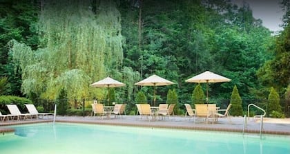 Mountain Loft Gatlinburg Tennessee 2 bedroom