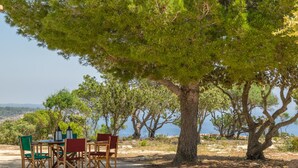 Un espacio al aire libre con una mesa y sillas bajo un árbol grande, con vistas a un paisaje pintoresco.