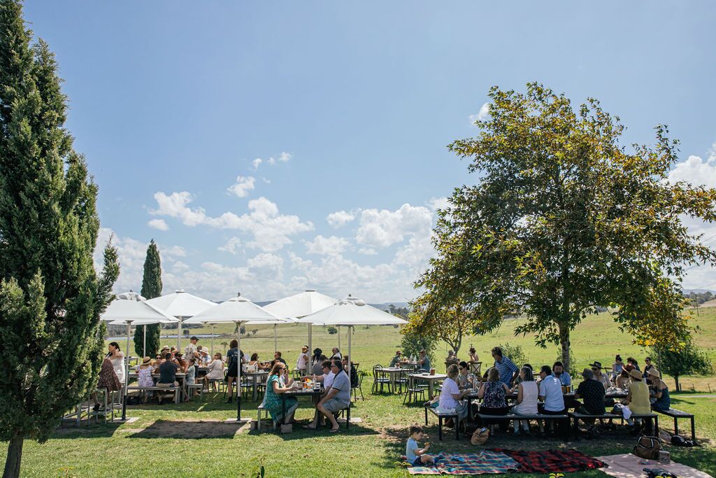Une réunion en plein air où les participants sont assis à des tables sous des parasols blancs, entourés de pelouse et d’arbres.