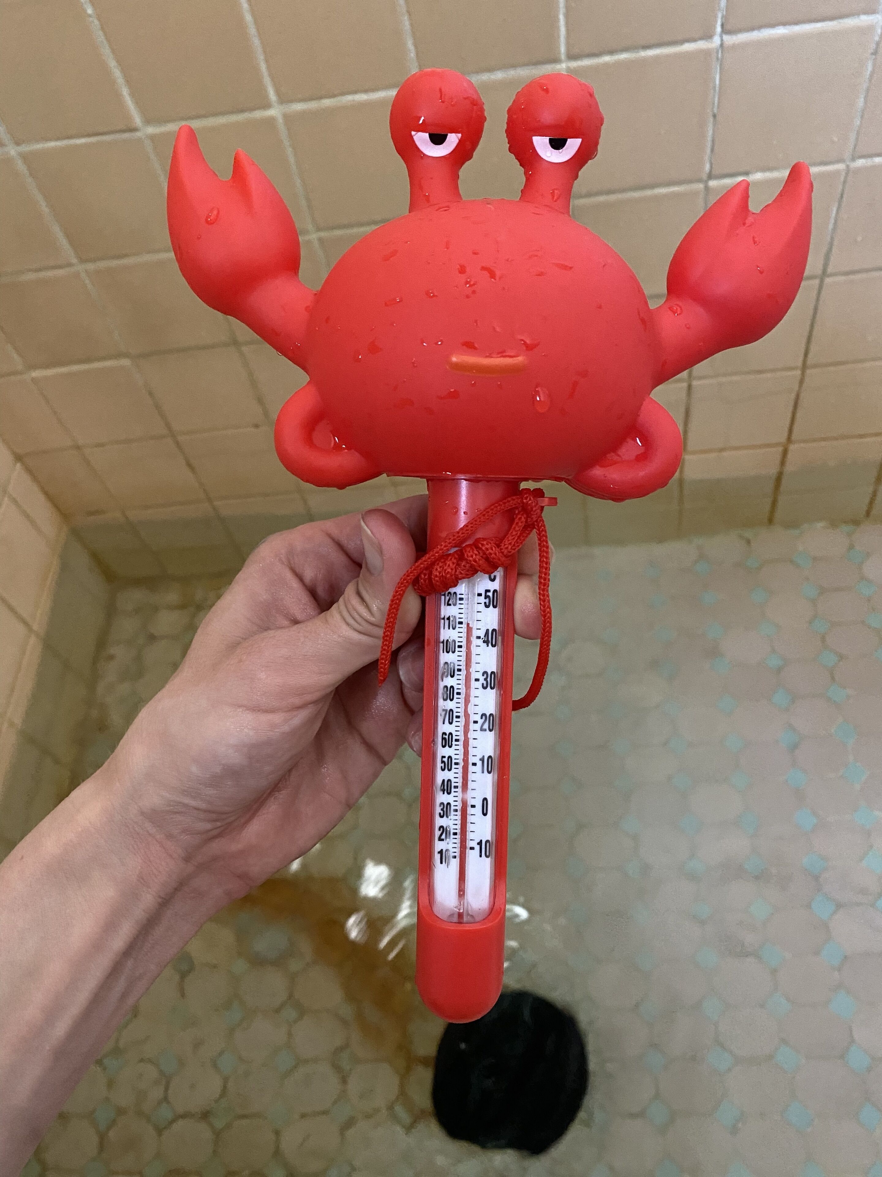 Una mano sosteniendo un termómetro rojo con diseño de cangrejo, midiendo la temperatura.