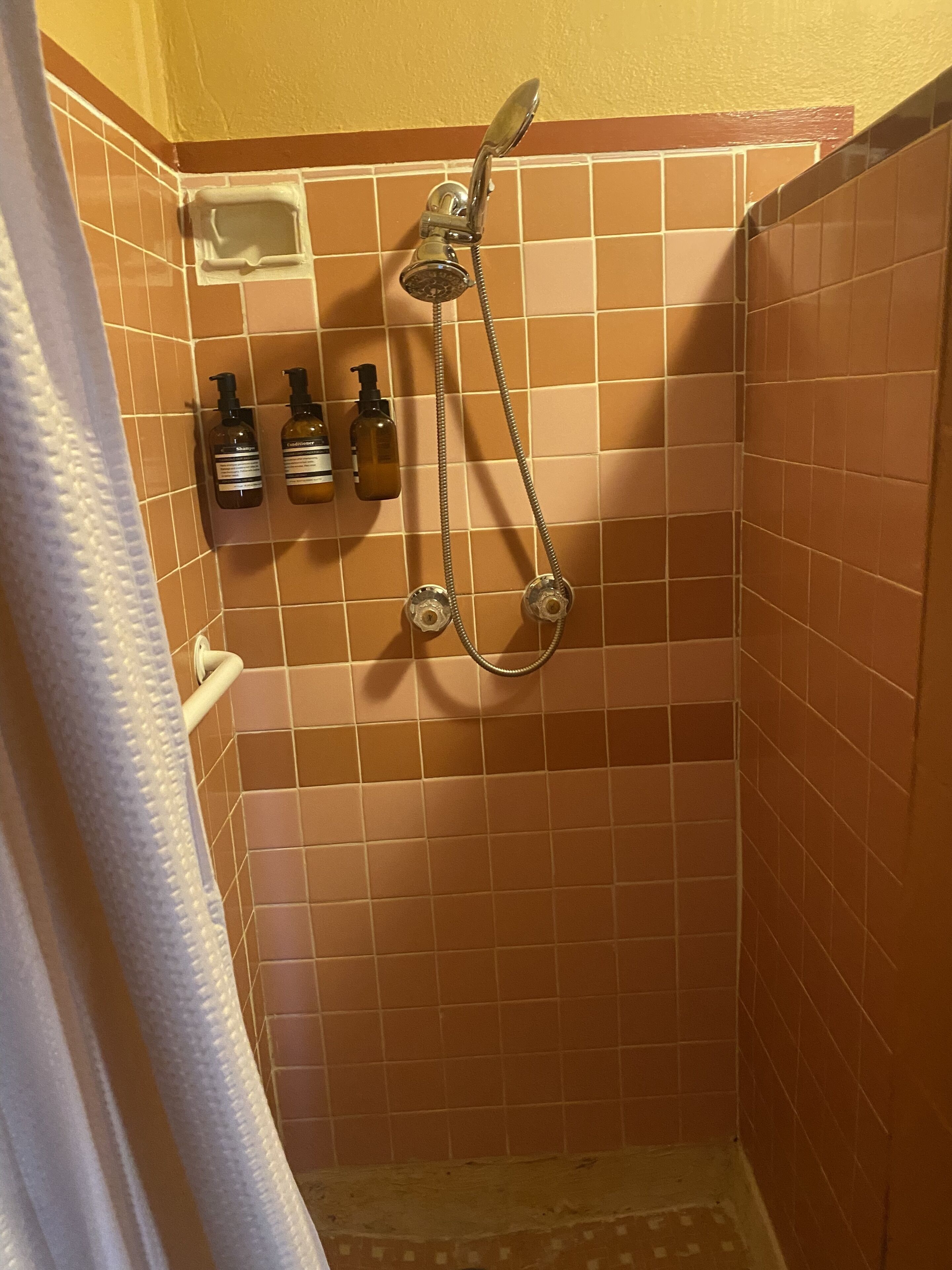 A shower area with brown tiles, a handheld showerhead, and two bottles of shampoo and conditioner.