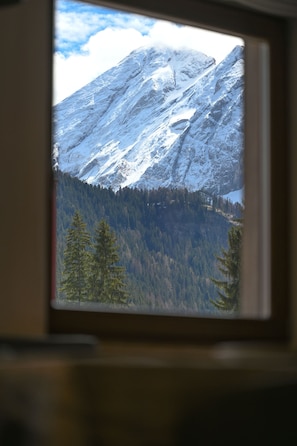 A window with a view of a snow-covered mountain and a forested valley. - Parco Canazei - Casa al Parco Deluxe (Canazei)