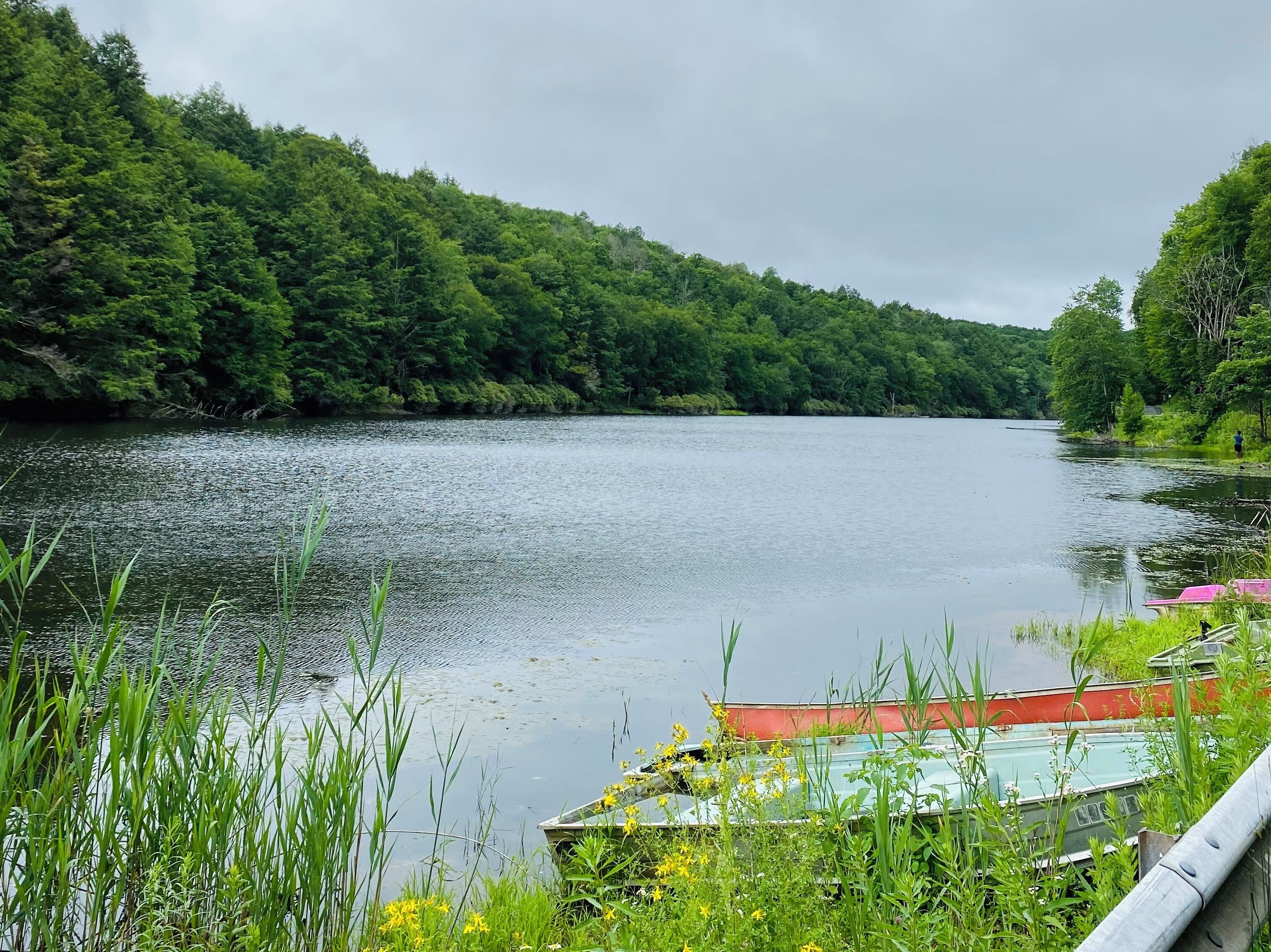 Lake Paradise- 4 minute walk away