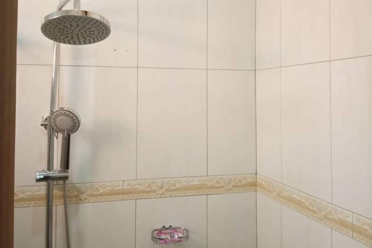 Une salle de bain avec une douche, un porte-serviettes et des toilettes.
