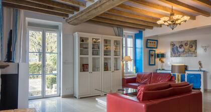 House on the banks of the Loire with exceptional view of the Château de Sully