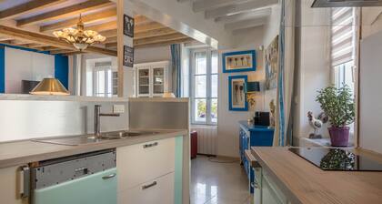 House on the banks of the Loire with exceptional view of the Château de Sully