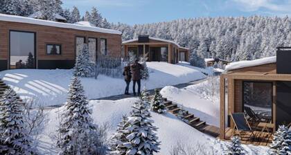 Premium mit 2 Schlafzimmern by Interhome