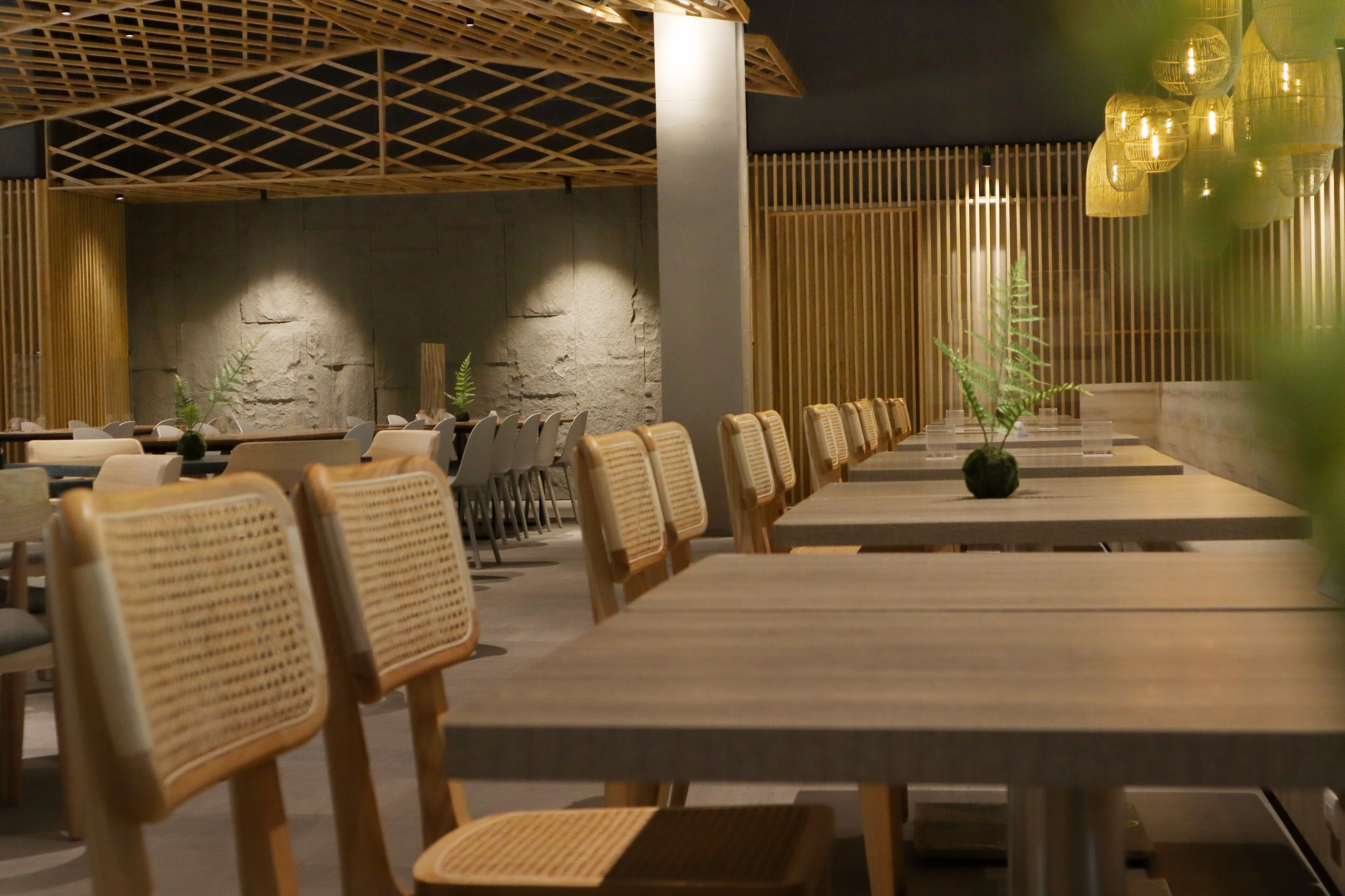 Un restaurant moderne avec de longues tables en bois et des chaises en osier, doté d’un plafond en bois et de lambris verticaux en bois sur les murs.