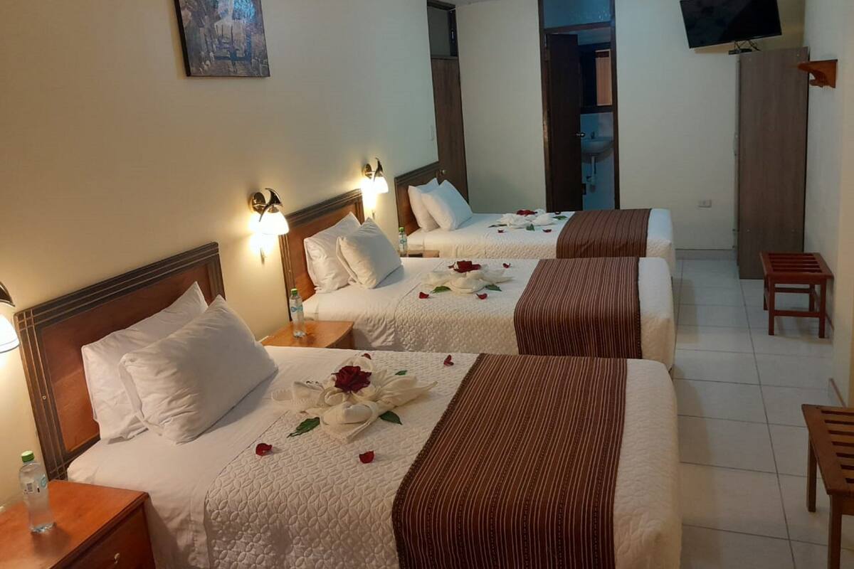 Habitación de hotel con dos camas, cada una con sábanas blancas y pétalos de rosa. Se observan luces empotradas, un cuadro y un televisor en la pared.