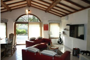 Televisor intel·ligent, llar de foc, reproductor de DVD i llibres 