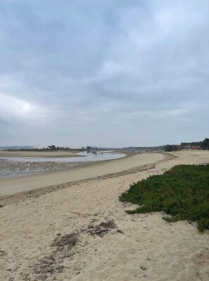 On the beach