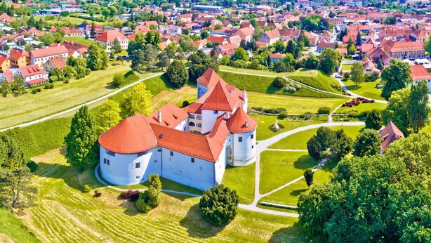 Ett stort slott med flera torn och en vallgrav som omger det, inbäddat i frodiga, gröna fält och ett tättbebyggt bostadsområde.
