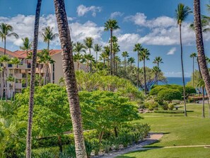 Property grounds - Stunning 2B/2B Condo W/Ocean Views-Kamaole Sands (Kihei)