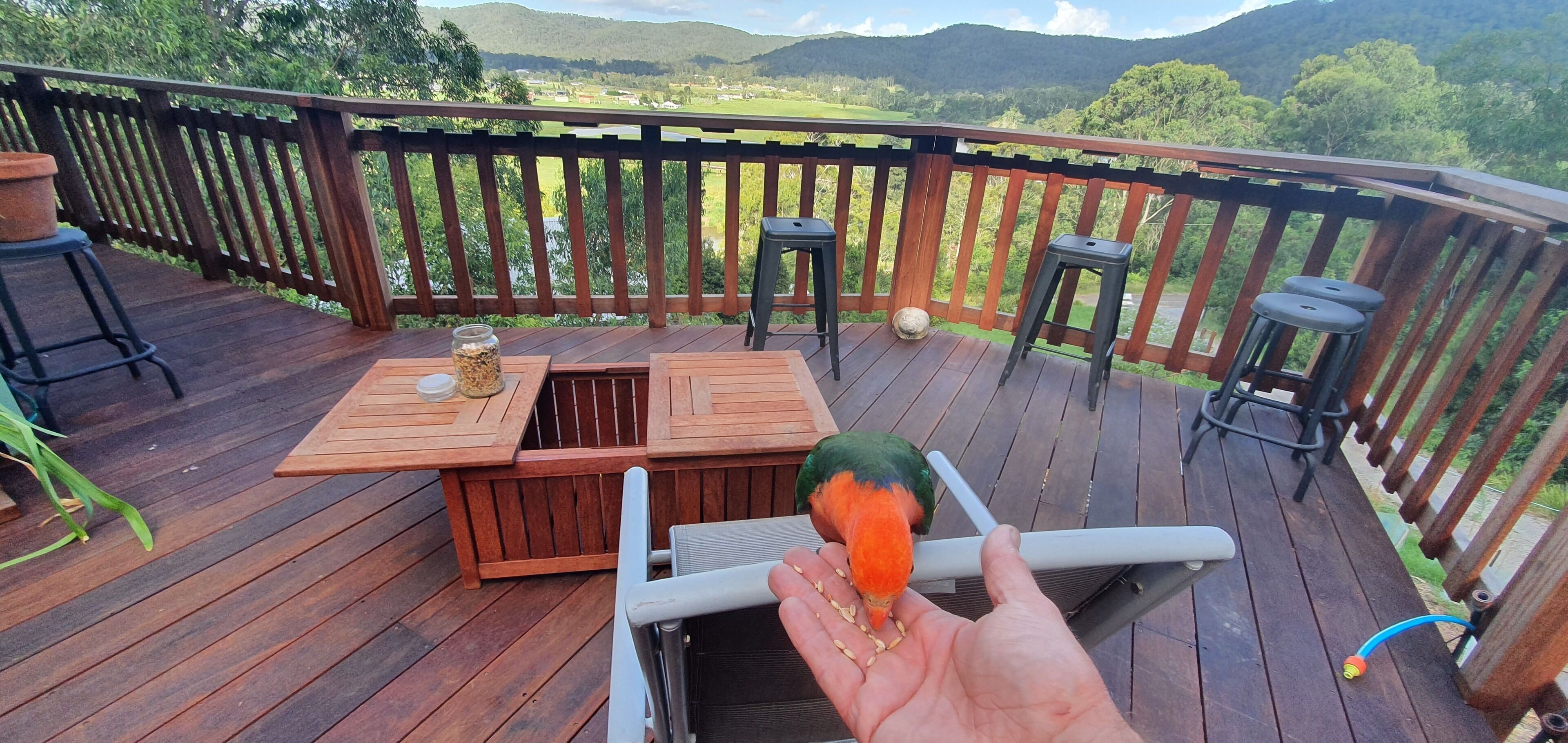 One bedroom house with detached bedroom / studio — image 14