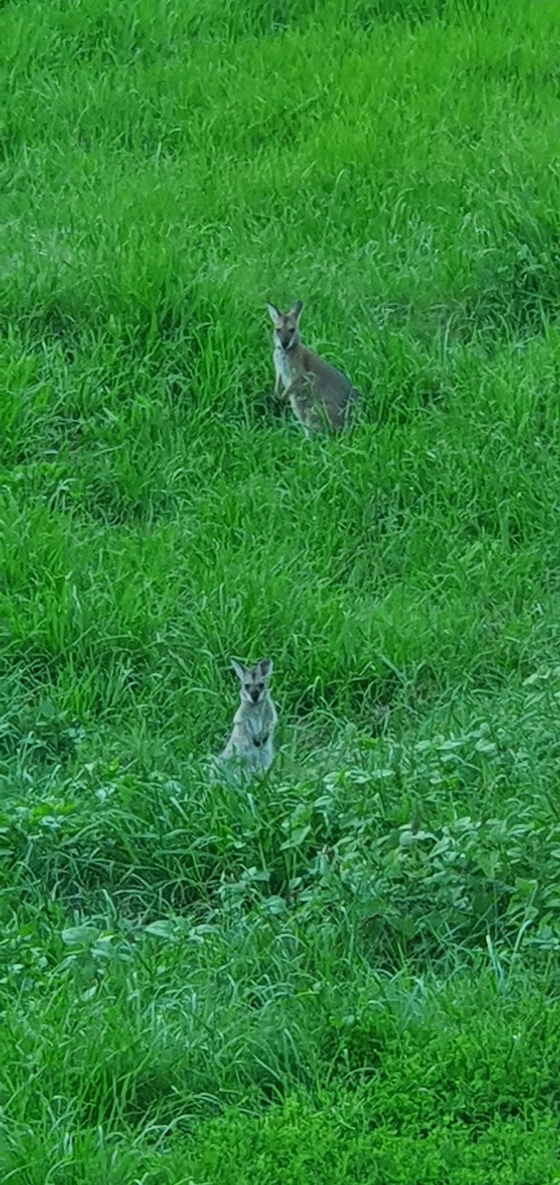 One bedroom house with detached bedroom / studio — image 27