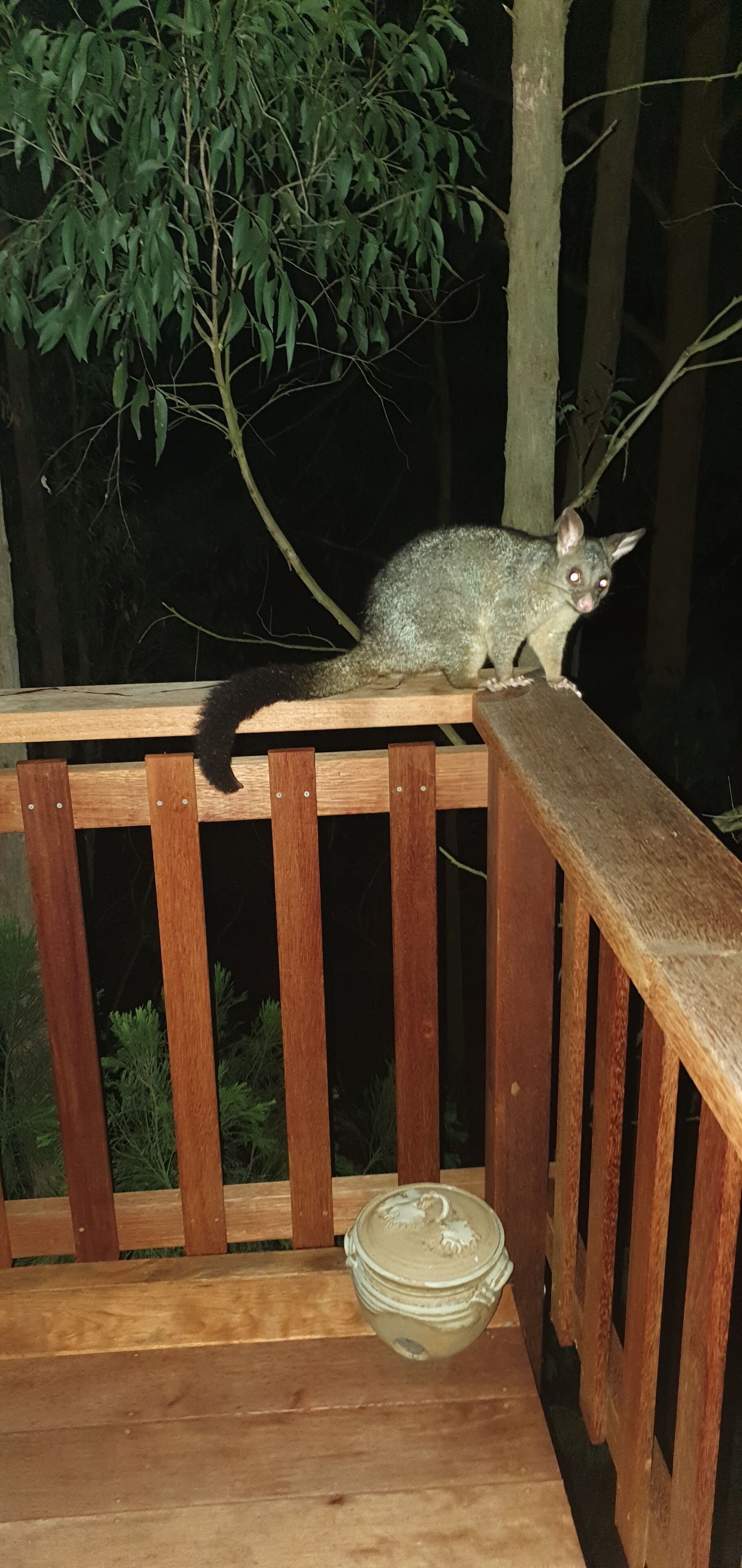 One bedroom house with detached bedroom / studio — image 5