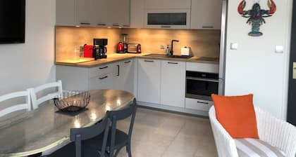 Studio rénové à deux pas de la plage des Lutins - Terrasse privée, parking et animaux acceptés
