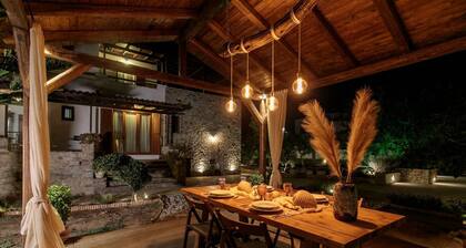 Naxos Chora Villa ''Vaporias'' with amazing garden