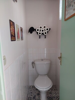 Regadera, secadora de cabello, toallas, papel de baño