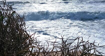 maison 4-5 pers bord de mer Oléron