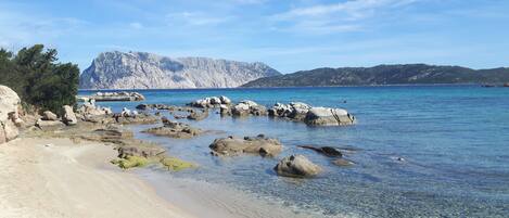 Playa en los alrededores