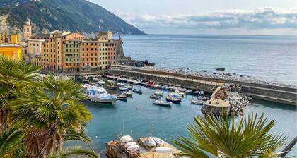 2 bedroom cozy home in Camogli