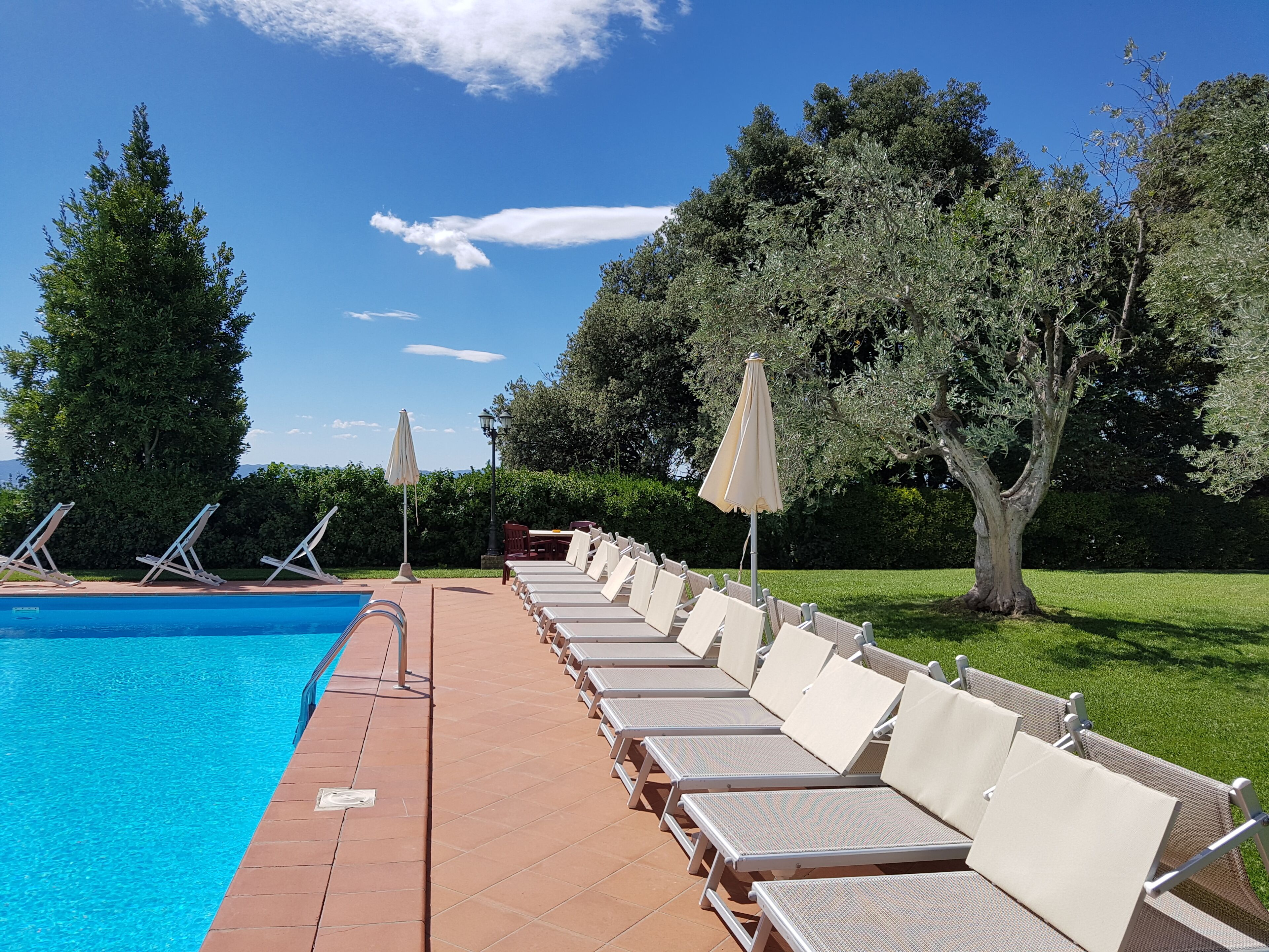 A poolside area with lounge chairs and umbrellas, surrounded by trees and a clear sky.