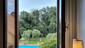 Vista a través de una ventana que muestra una piscina rodeada de exuberante vegetación y árboles.