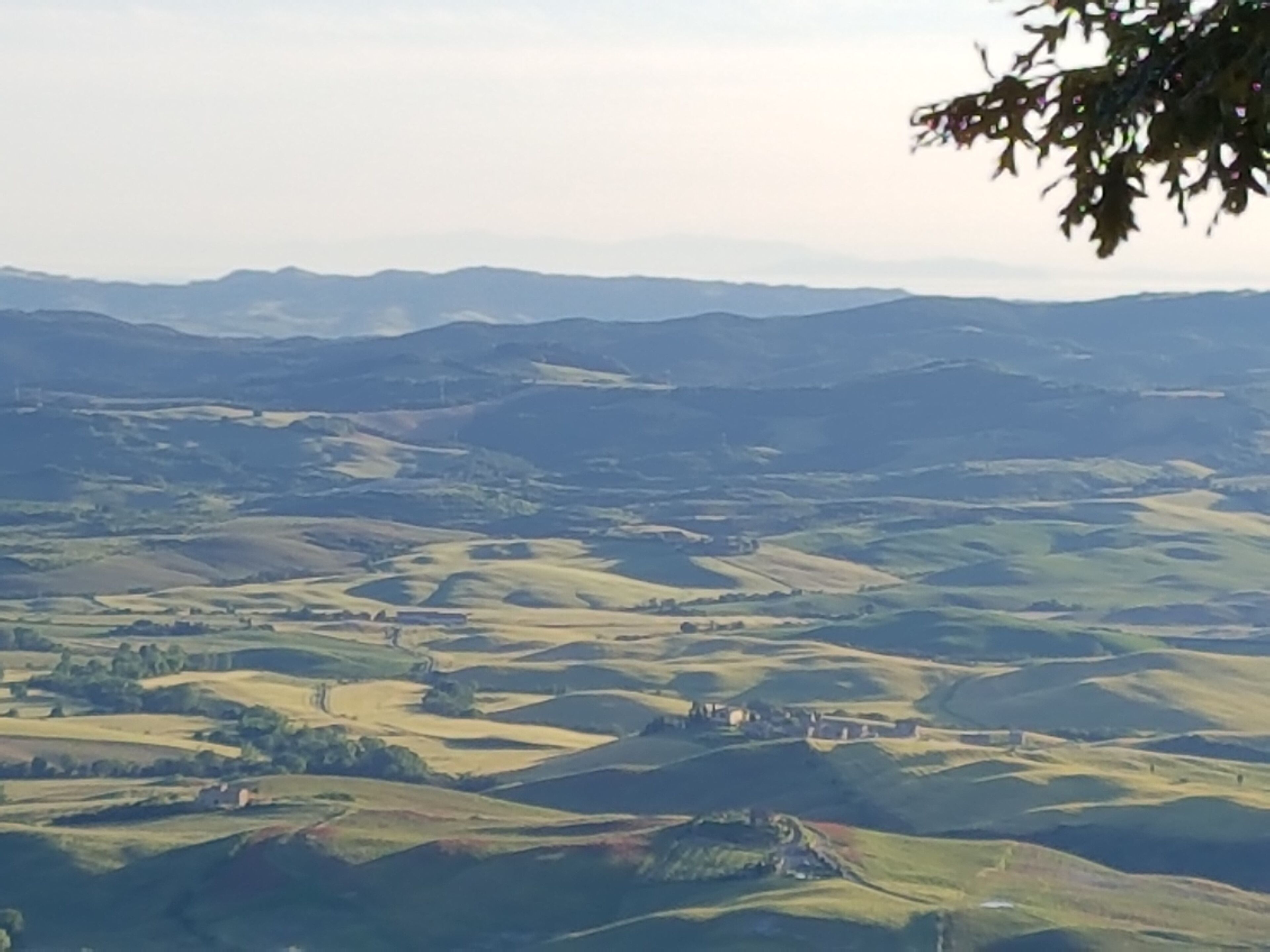 A panoramic view of rolling hills with scattered buildings.