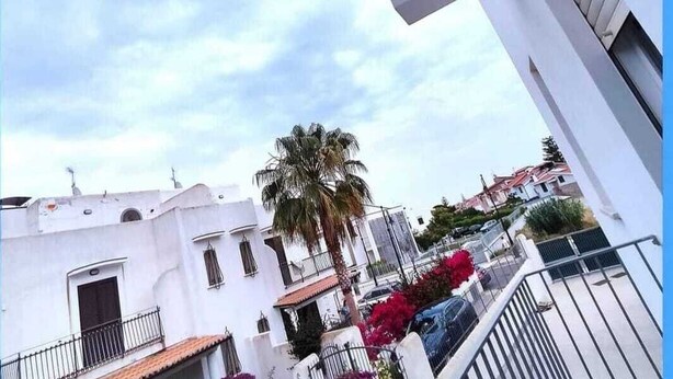 A white building with balconies and a palm tree. - iPesci di Sperlonga B&B 200 meters from the sea (Sperlonga)