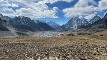 Helicopter/plane tours