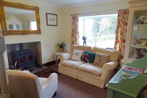 TV, fireplace, DVD player, video library