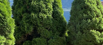 Cozy and newly renovated apartment in attractive tourist area