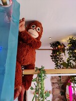 Comfort-Doppelzimmer, mit Bad | Innenbereich