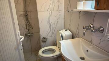 A bathroom with a toilet, shower, and sink.