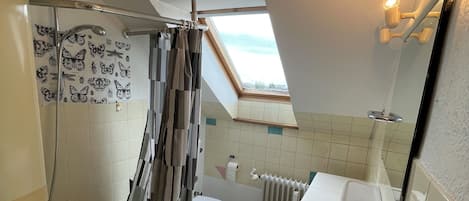 Combined shower/bathtub