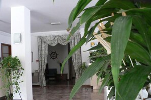A room with a dark wooden floor, a large potted plant in the foreground, and a doorway leading to another room with a patterned curtain. - Hotel Haiti B&B (Cervia)