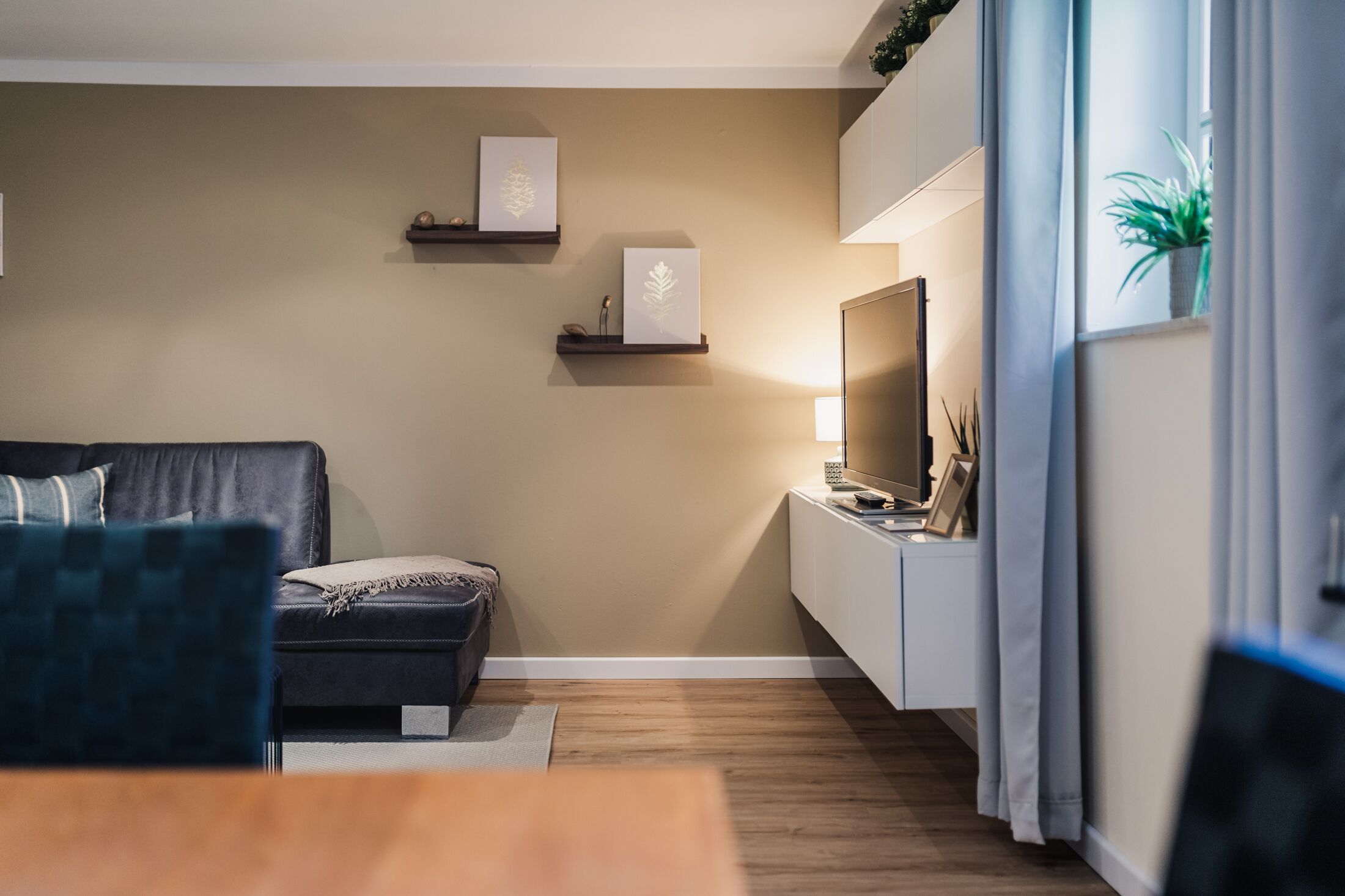 A modern living room with a sofa, a coffee table, and a TV on a stand. There are wall-mounted shelves with decorative items and a potted plant on the windowsill.