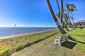 Relax on the beachfront lawn with a clear view of the ocean, surrounded by palm trees and a building with a solar panel roof.